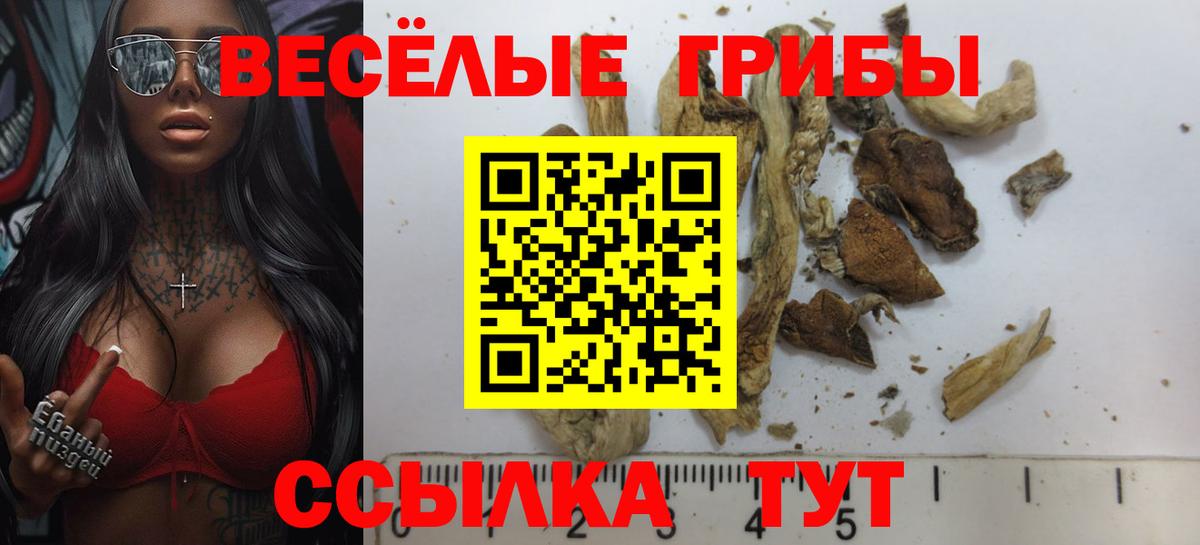 Галлюциногенные грибы MAGIC MUSHROOMS  Вход с VPN  Еманжелинск 